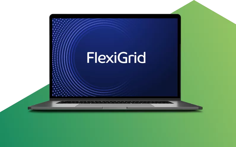 Flexigrid on laptop
